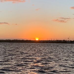 Meet your Posher, Kiley